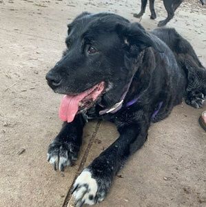 Meet your Posher, Cheryl